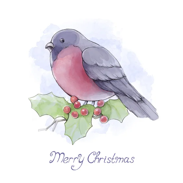 Watercolor illustration of bullfinch — Stock Photo, Image