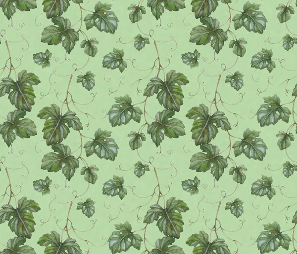 Бесшовный узор с акварельными листьями винограда — стоковое фото