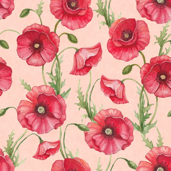 Watercolor poppy flowers, seamless pattern — Stock Photo, Image