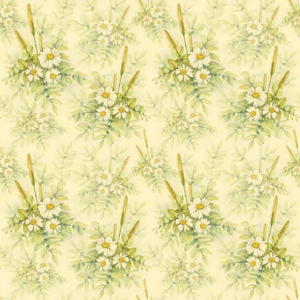 Watercolor chamomile. Vintage seamless pattern — Stock Photo, Image