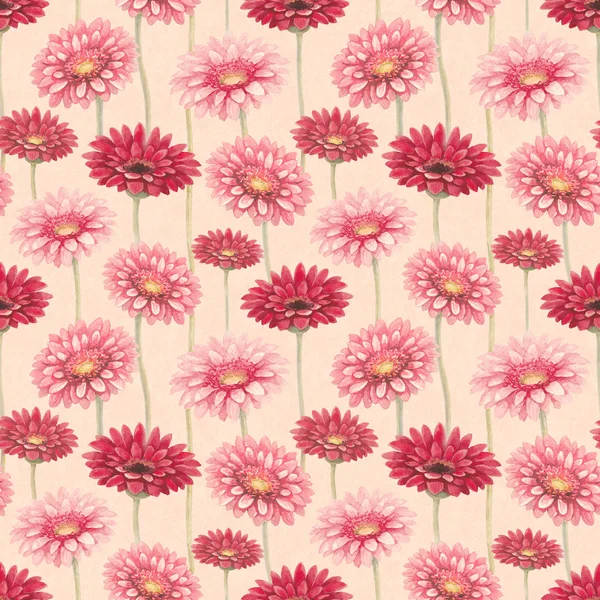 Watercolor gerber flowers. Seamless pattern — Stock Photo, Image