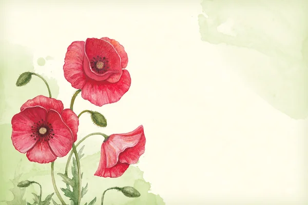 Artistic background with watercolor illustration of poppy flower — Stock Photo, Image