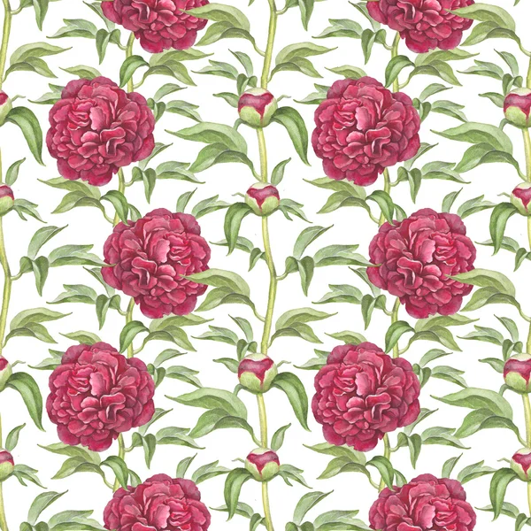 Watercolor illustration of peony flowers. Seamless pattern — Stock Photo, Image