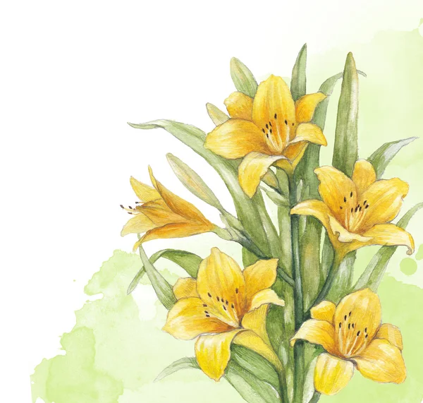 Υδατογραφίας του κρίνος λουλούδι. ιδανικό για την πρόσκληση του ευχετήρια κάρτα — Φωτογραφία Αρχείου