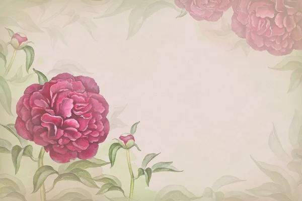 Watercolor background with illustration of peony flower. Perfect — ストック写真