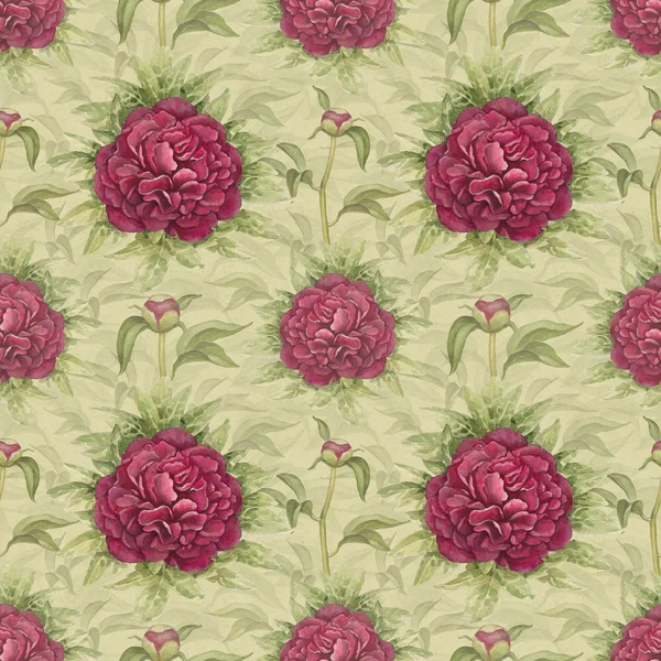 Watercolor illustration of peony flowers. Seamless pattern — Stock Photo, Image