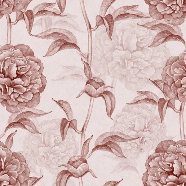 Seamless pattern with peony drawings — Stock Photo, Image