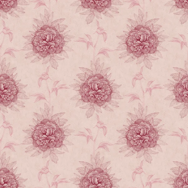 Seamless pattern with peony drawings — Stock Photo, Image