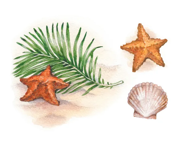 Watercolor illustrations of shells and starfish on tropical beach — Stock Photo, Image