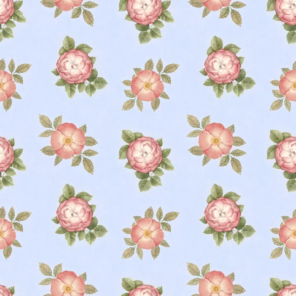 Vinage artistic seamless pattern with watercolor dog-rose illust — Stock Photo, Image