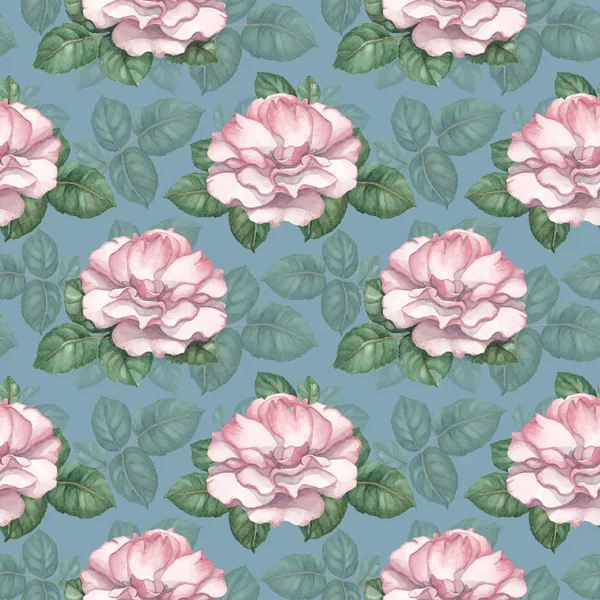 Watercolor pattern with rose illustration — Stock Photo, Image