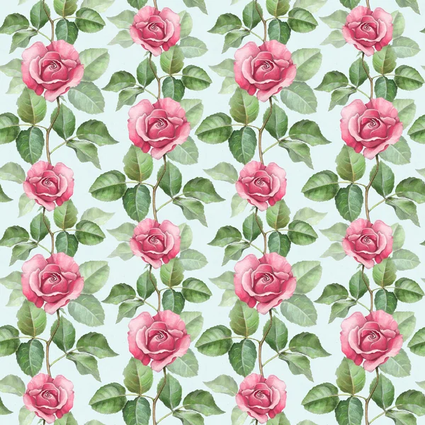 Akwarela wzór róży ilustracji — Zdjęcie stockowe