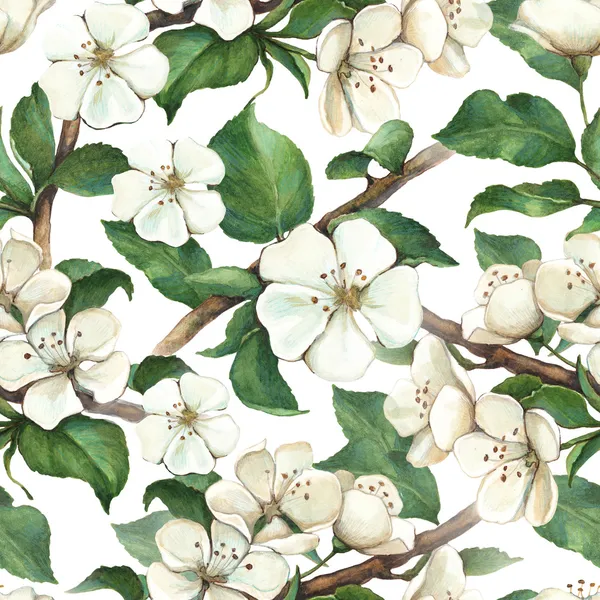 Pattern with watercolor apple flowers — Stock Photo, Image