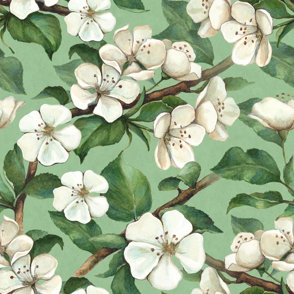 Pattern with watercolor apple flowers — Stock Photo, Image