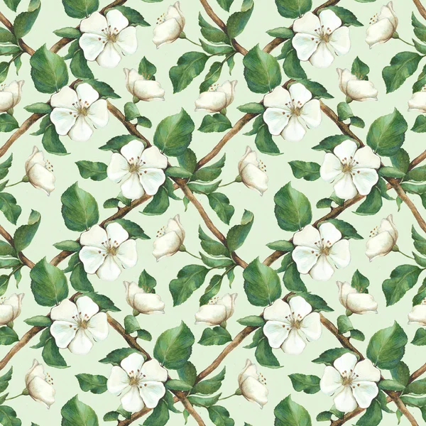 Vintage seamless pattern with watercolor apple flowers — Stock Photo, Image