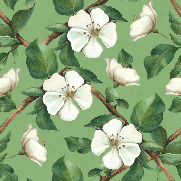 Pattern with watercolor apple flowers — Stock Photo, Image