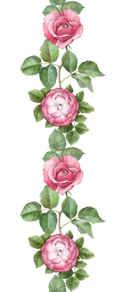 Akvarel vzorek s růžovou ilustrace — Stock fotografie