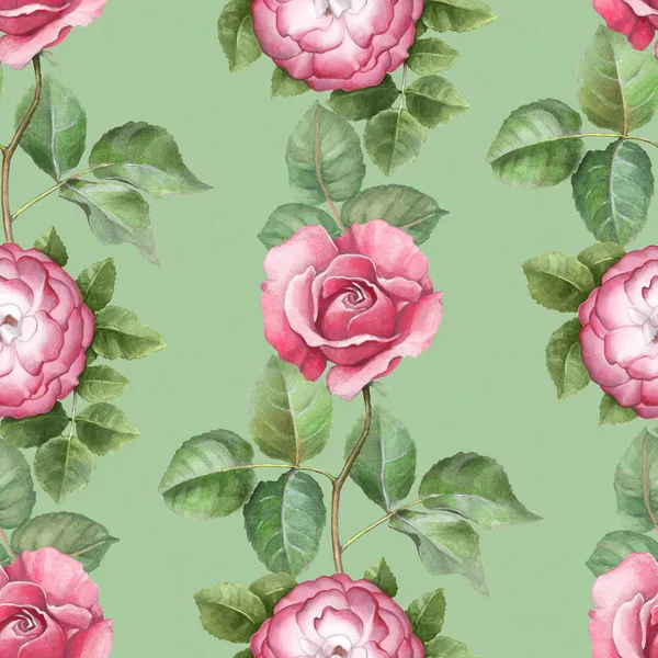 Watercolor pattern with rose illustration — Stock Photo, Image