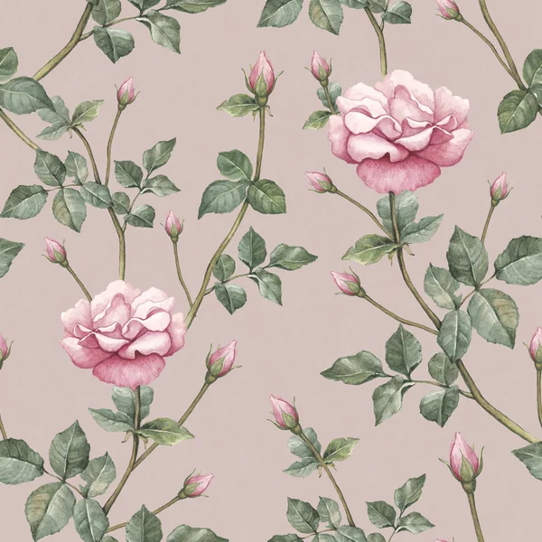 Watercolor pattern with rose illustration — Stock Photo, Image