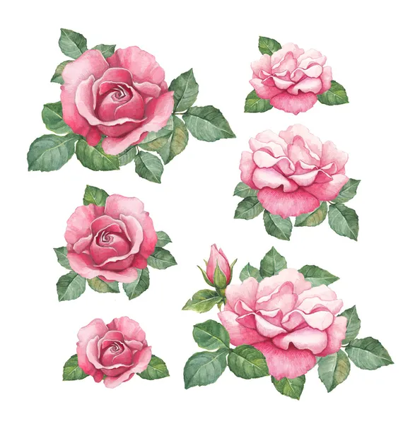 Aquarel illustraties van roze bloemen — Stockfoto