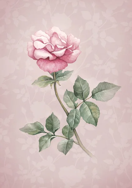 Aquarel illustratie van rose bloem. perfect voor wenskaart — Stockfoto