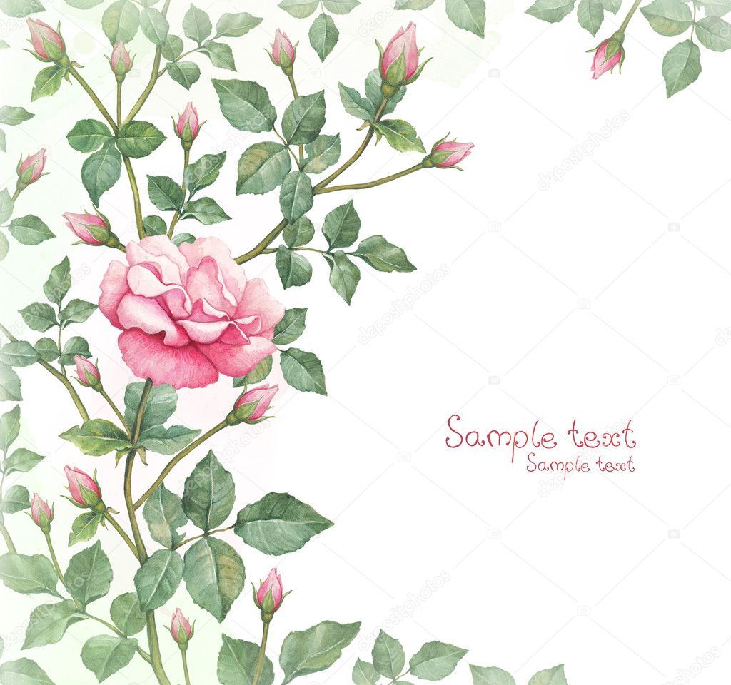 Watercolor illustration of rose flower. Perfect for greeting card