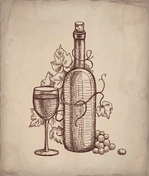 Desenho a lápis de garrafa de vinho — Vetor de Stock