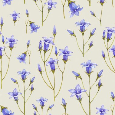 Bluebell çiçek çizimi. Sulu Boya Dikişsiz desen