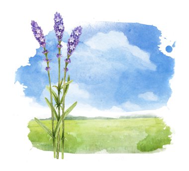 Yaz peyzaj suluboya çizimi