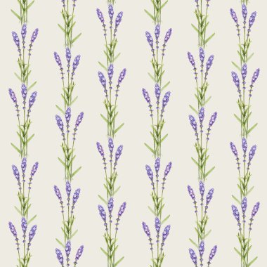 Lavanta çiçeği çizimler. Sulu Boya Dikişsiz desen