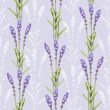 Lavanta çiçeği çizimler. Sulu Boya Dikişsiz desen