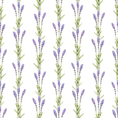 Lavanta çiçeği çizimler. Sulu Boya Dikişsiz desen