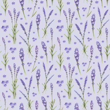 Lavanta çiçeği çizimler. Sulu Boya Dikişsiz desen