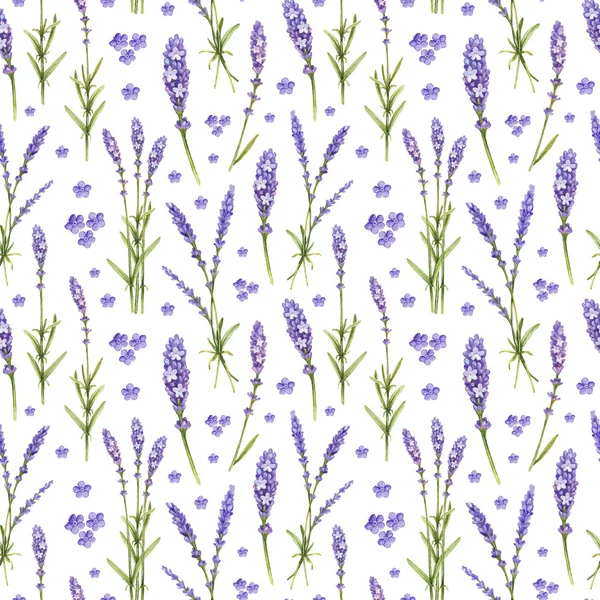 Ilustrações de flores de lavanda. Padrão sem costura aquarela — Fotografia de Stock