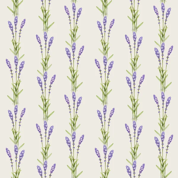 Ilustraciones de flores de lavanda. Patrón sin costura de acuarela —  Fotos de Stock