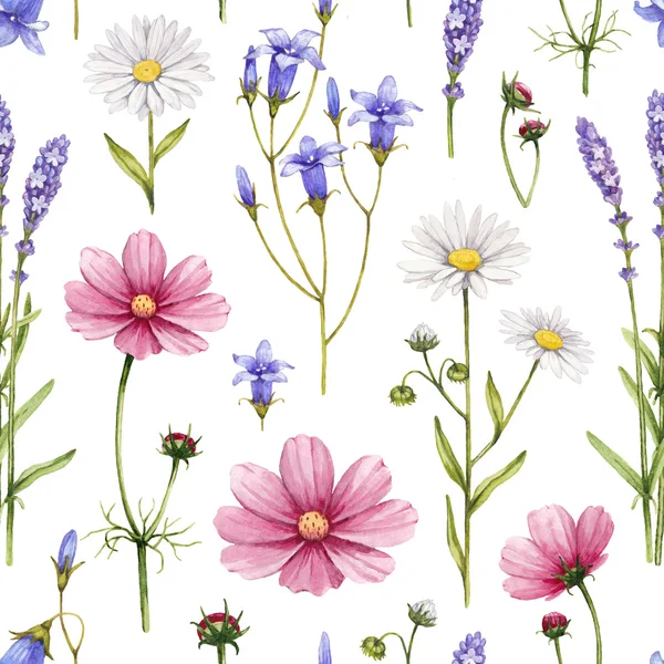 野生の花のイラスト。水彩画のシームレスなパターン — ストック写真