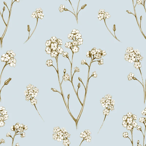 Forget me not flower drawings. Seamless pattern — Stock Photo, Image