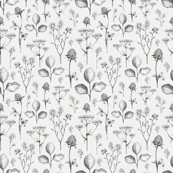 Wild flowers drawing. Seamless pattern — Stock Photo, Image