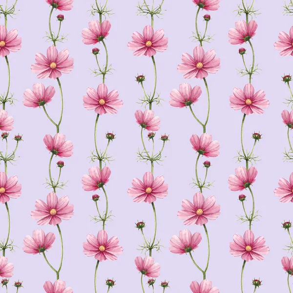 Cosmos flowers illustration. Watercolor seamless pattern — Stock Photo, Image