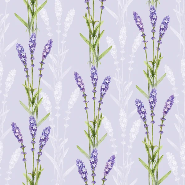 Lavendel blomma illustrationer. akvarell seamless mönster — Stockfoto