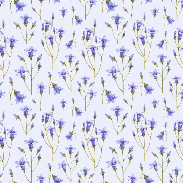 Bluebell çiçek çizimi. Sulu Boya Dikişsiz desen — Stok fotoğraf