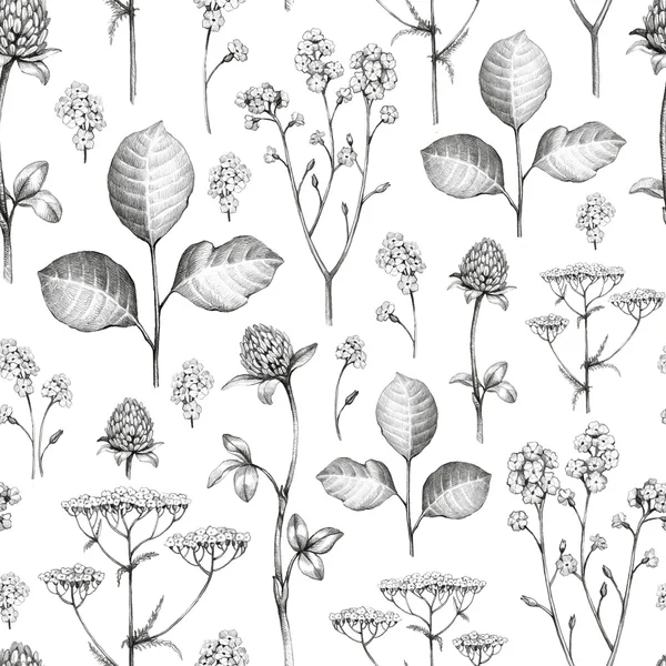 Flores dibujo lapiz fotos de stock, imágenes de Flores dibujo lapiz sin royalties | Depositphotos Flores dibujo lapiz fotos de stock, imágenes de Flores dibujo lapiz sin royalties | Depositphotos