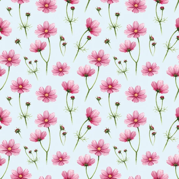 Cosmos flowers illustration. Watercolor seamless pattern — Stock Photo, Image