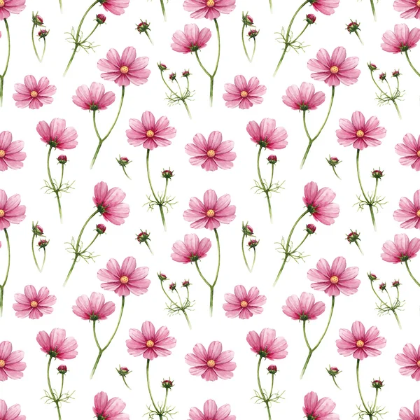 Cosmos flowers illustration. Watercolor seamless pattern — Stock Photo, Image