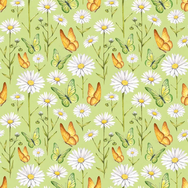 Kamillenblüten und Schmetterlinge Illustration — Stockfoto