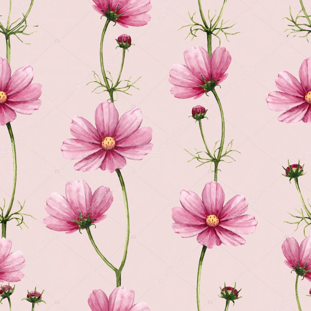 コスモスの花のイラスト 水彩画のシームレスなパターン ストック写真 C Sashsmir コスモスの花のイラスト 水彩画のシームレスなパターン ストック写真 C Sashsmir