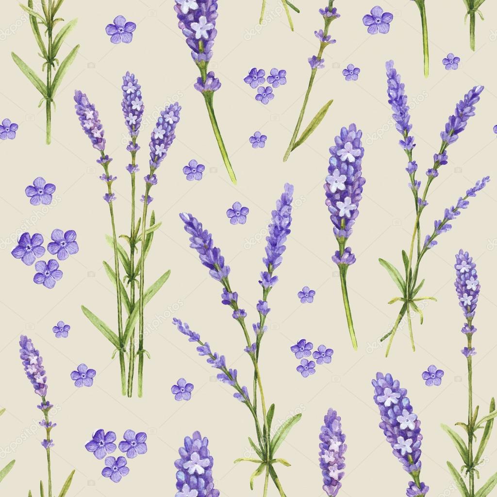 Illustrazioni di fiori di lavanda acquerello modello senza saldatura — Foto di Sashsmir
