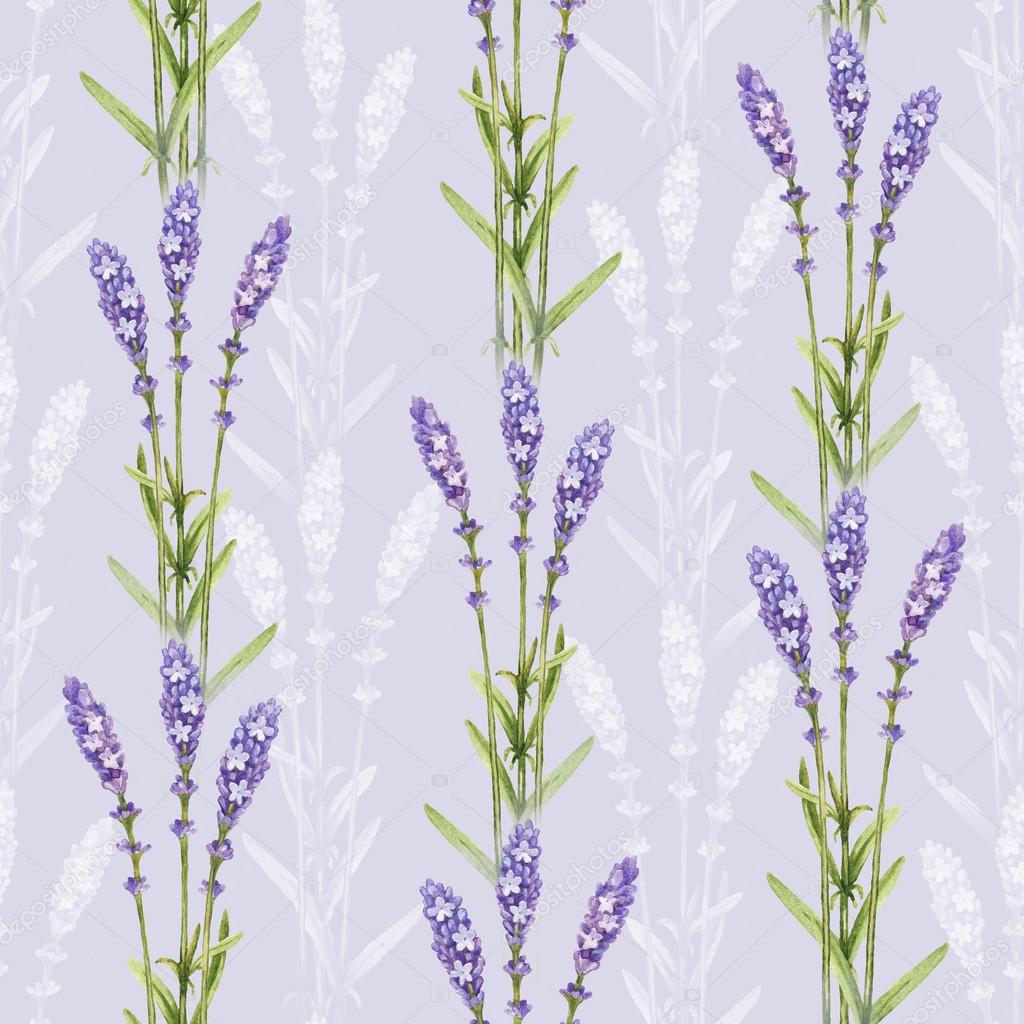 Illustrazioni di fiori di lavanda acquerello modello senza saldatura — Foto di Sashsmir
