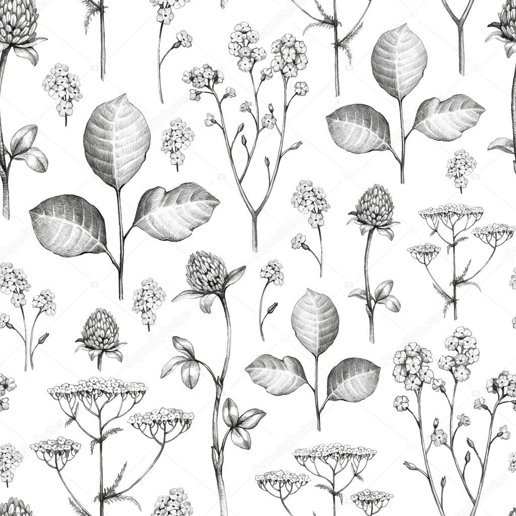Wild flowers drawing. Seamless pattern