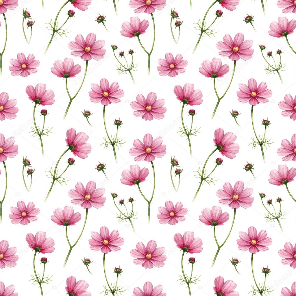 Cosmos flowers illustration. Watercolor seamless pattern — Stock Photo ...